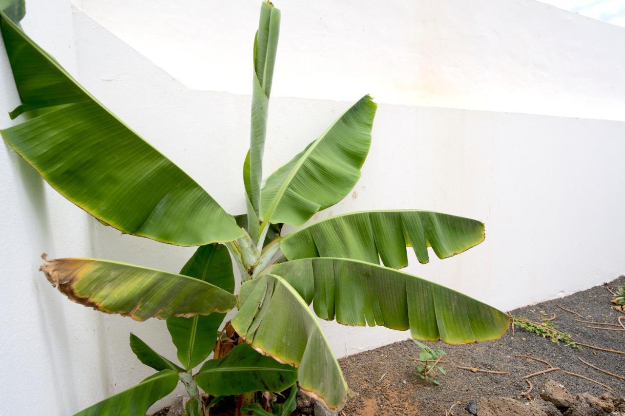 Villas Kalendra, Rofe, Lanzarote Guatiza Екстериор снимка