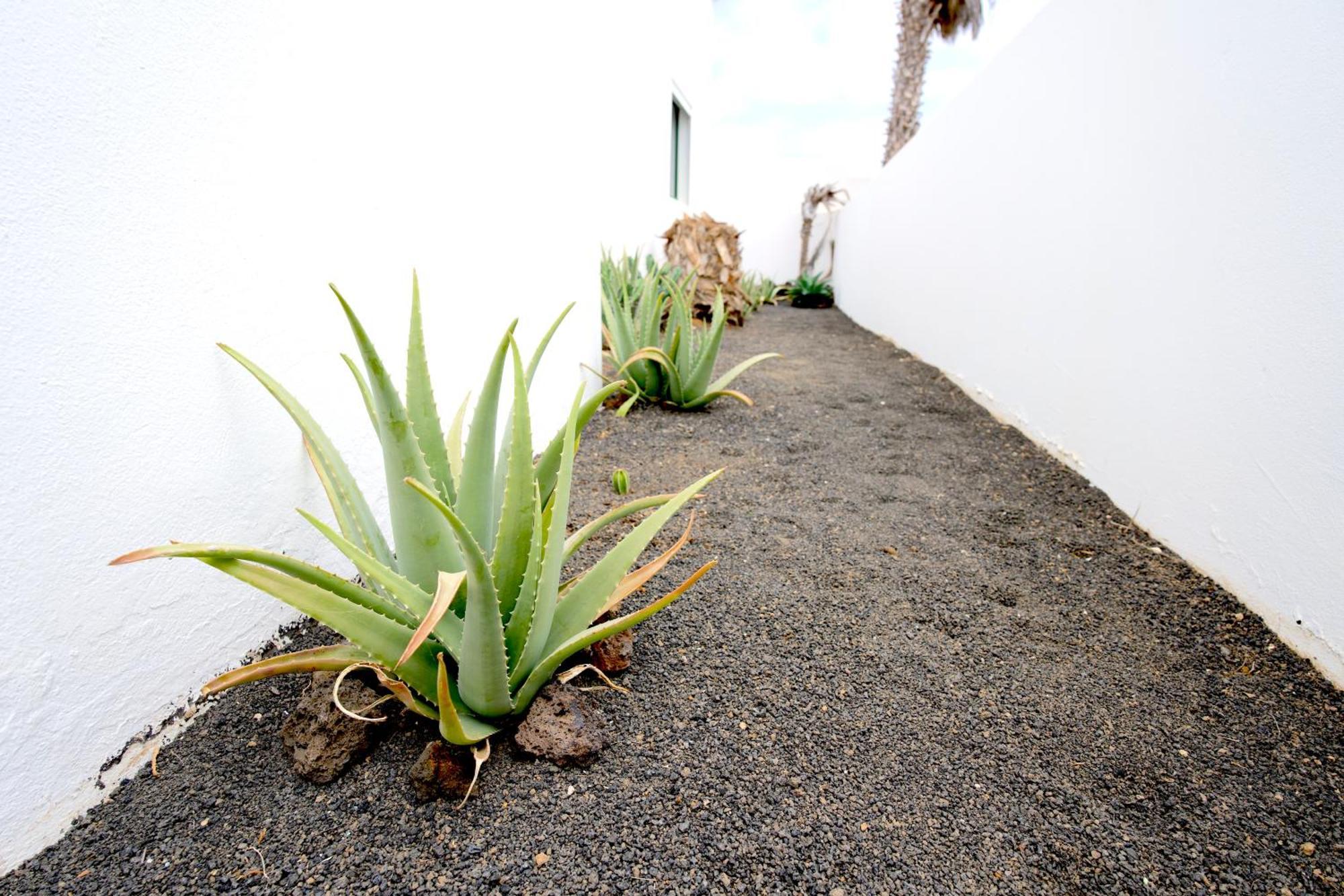 Villas Kalendra, Rofe, Lanzarote Guatiza Екстериор снимка