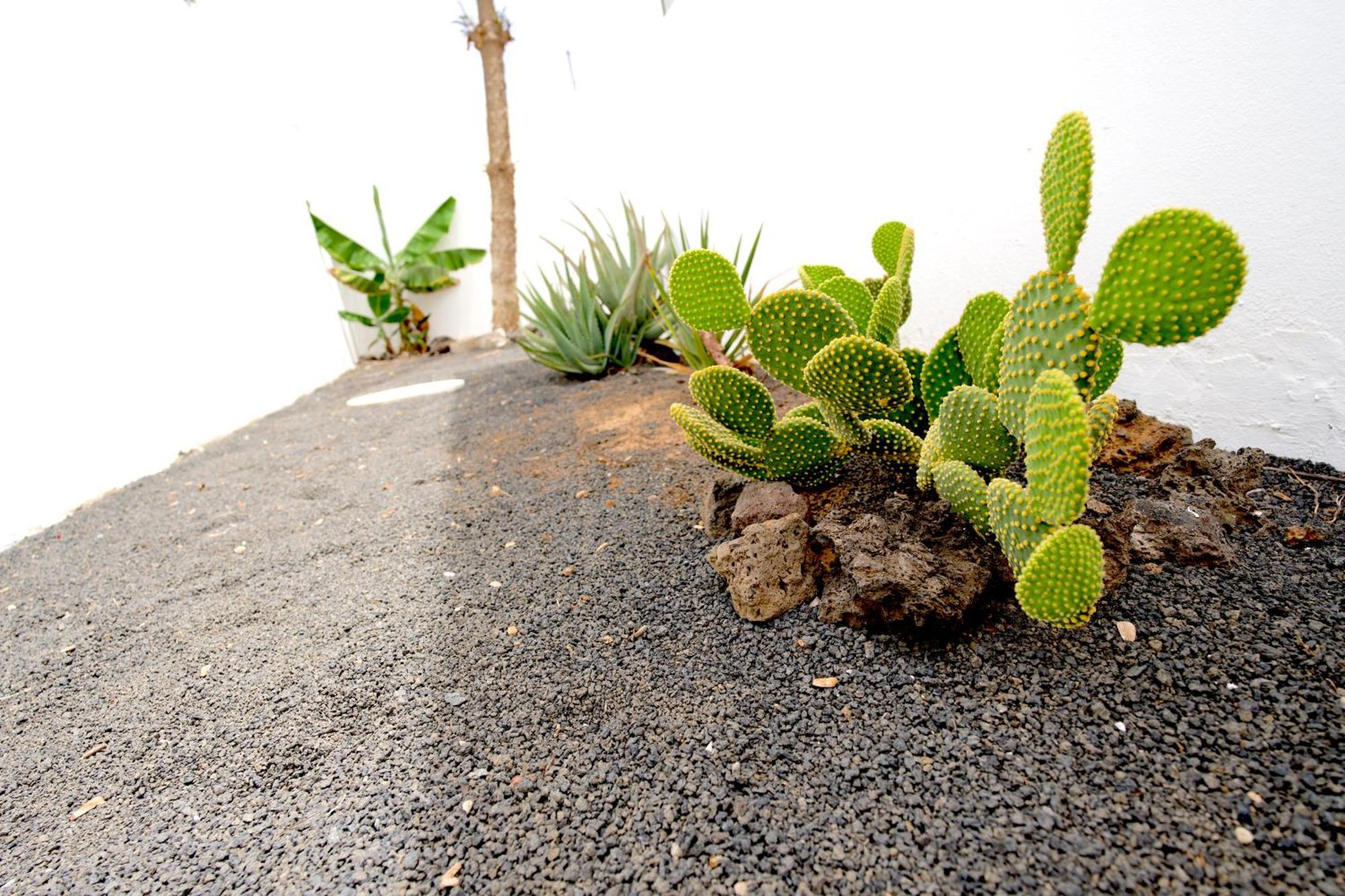 Villas Kalendra, Rofe, Lanzarote Guatiza Екстериор снимка